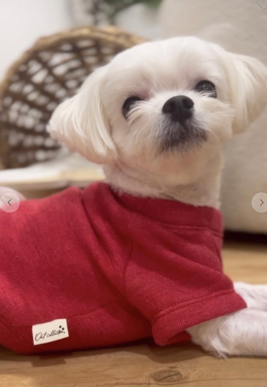 Santa’s Favorite Pet Sweatshirt - La Dolce Vita Boutique