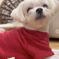 Santa’s Favorite Pet Sweatshirt - La Dolce Vita Boutique