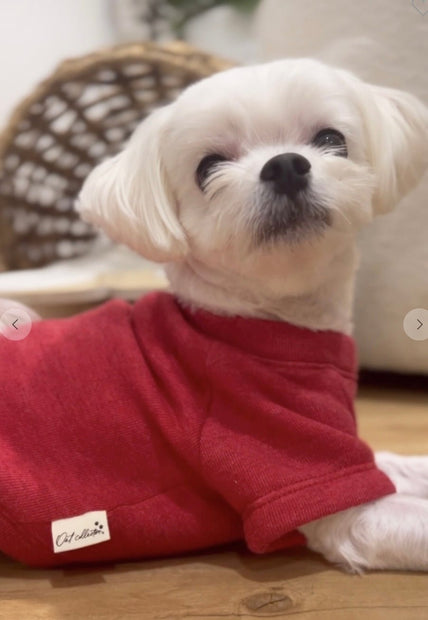 Santa’s Favorite Pet Sweatshirt - La Dolce Vita Boutique