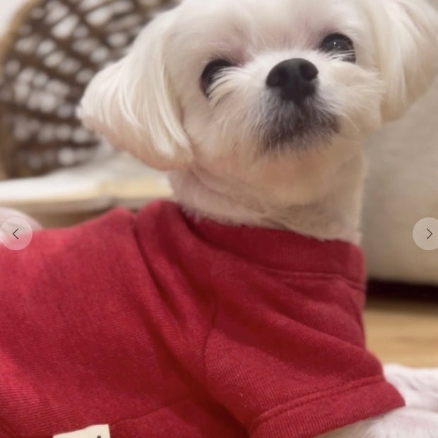 Santa’s Favorite Pet Sweatshirt - La Dolce Vita Boutique